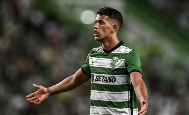 归化球员的 归化球员的