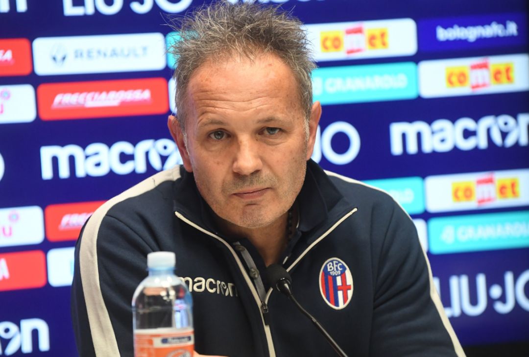 青岛黄海的 青岛黄海的